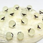 مجسمه شب تاب طرح بره ناقلا
